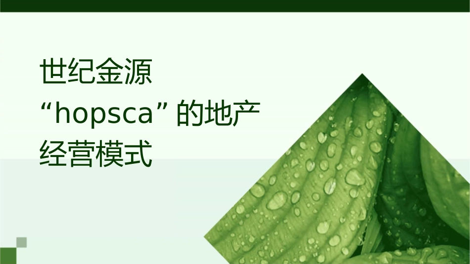 世纪金源“HOPSCA”的地产经营模式课件_第1页
