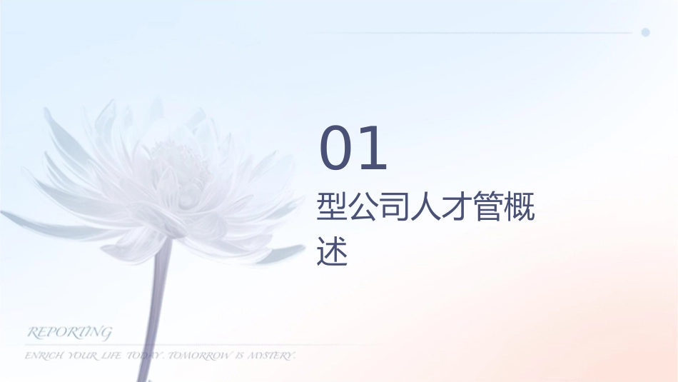 创业型公司人才管理实践课件_第3页