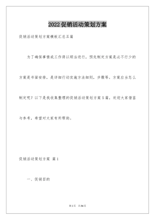 2024促销活动策划方案_8