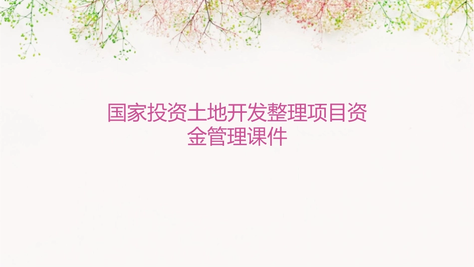 国家投资土地开发整理项目资金管理课件_第1页
