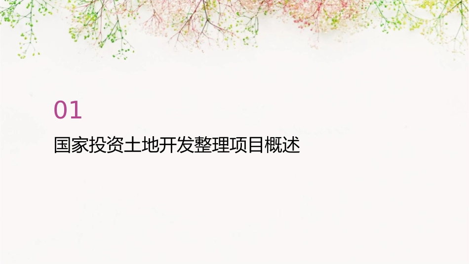 国家投资土地开发整理项目资金管理课件_第3页