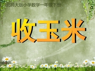 一年级数学《收玉米》