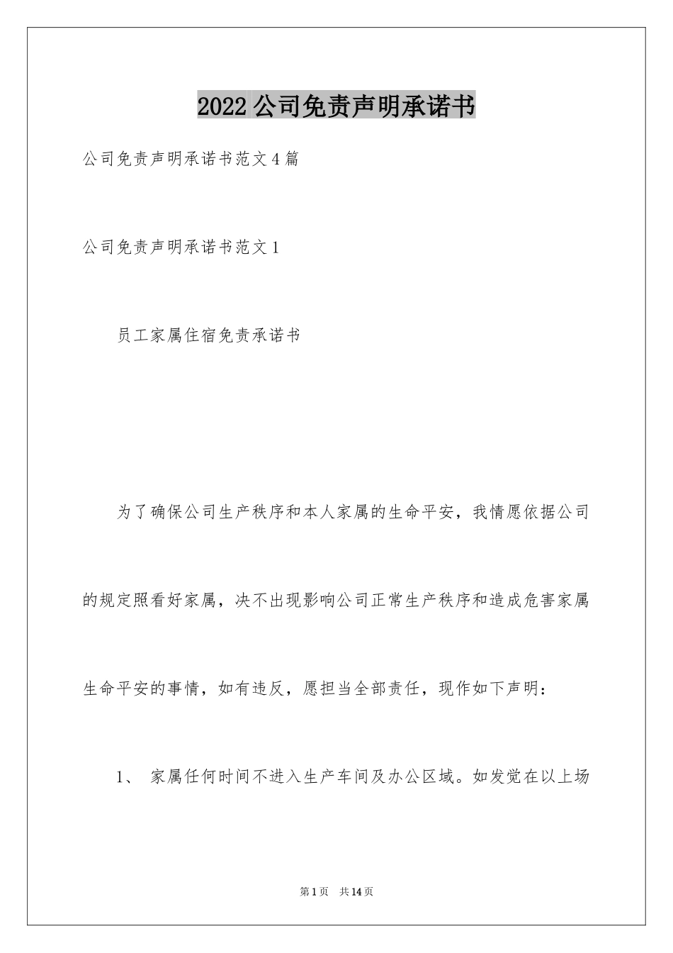 2024公司免责声明承诺书_第1页