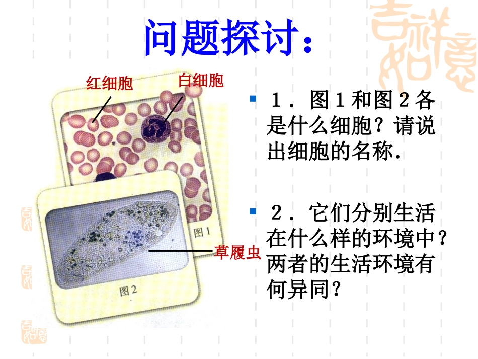 【生物】11细胞生活的环境课件1（人教版必修3）_第2页