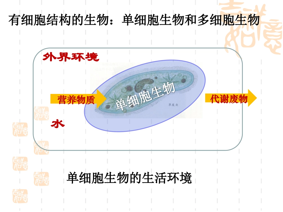 【生物】11细胞生活的环境课件1（人教版必修3）_第3页