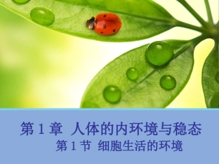 【生物】11细胞生活的环境课件1（人教版必修3）