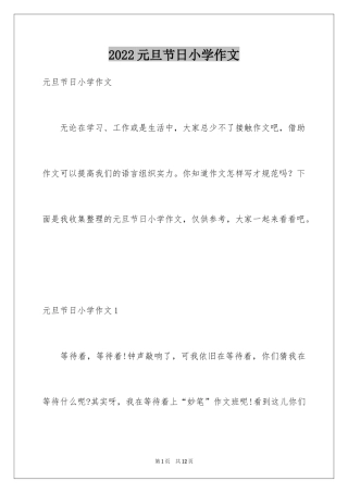 2024元旦节日小学作文