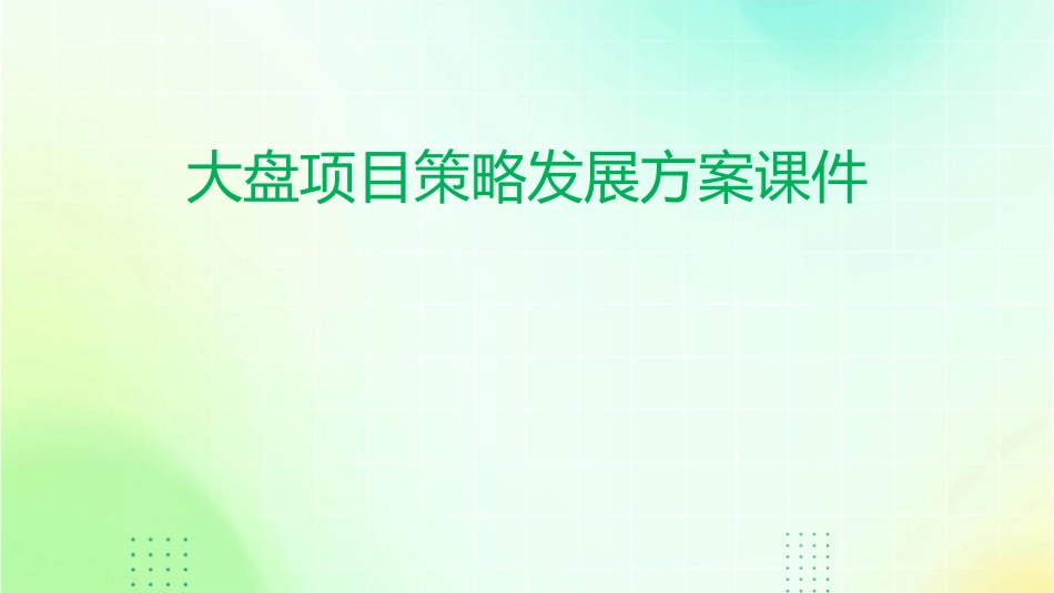 大盘项目策略发展方案课件_第1页
