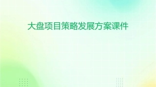 大盘项目策略发展方案课件