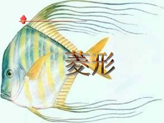 【精品课件】43菱形