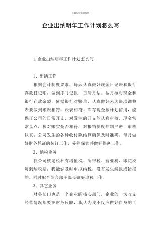 企业出纳明年工作计划怎么写