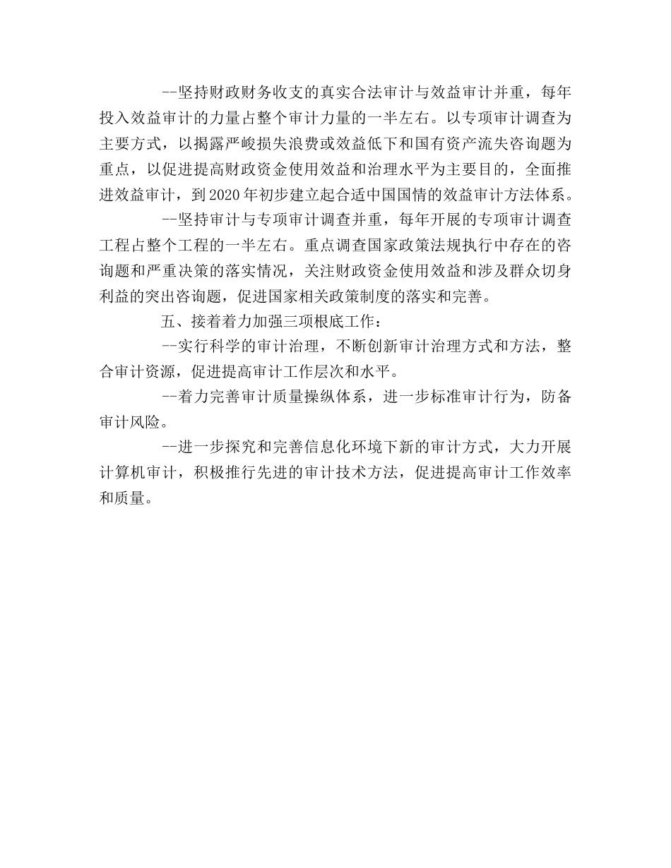 审计工作发展规划 _第2页