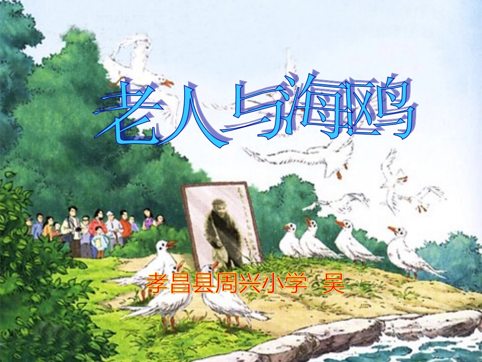 老人与海鸥实用课件_第1页
