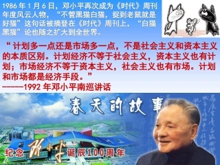 社会主义市场经济（詹）