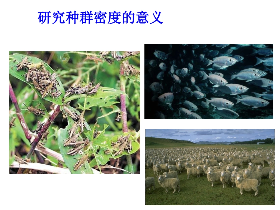 人教版必修三第4章第1节种群的特征（共27张PPT）_第3页