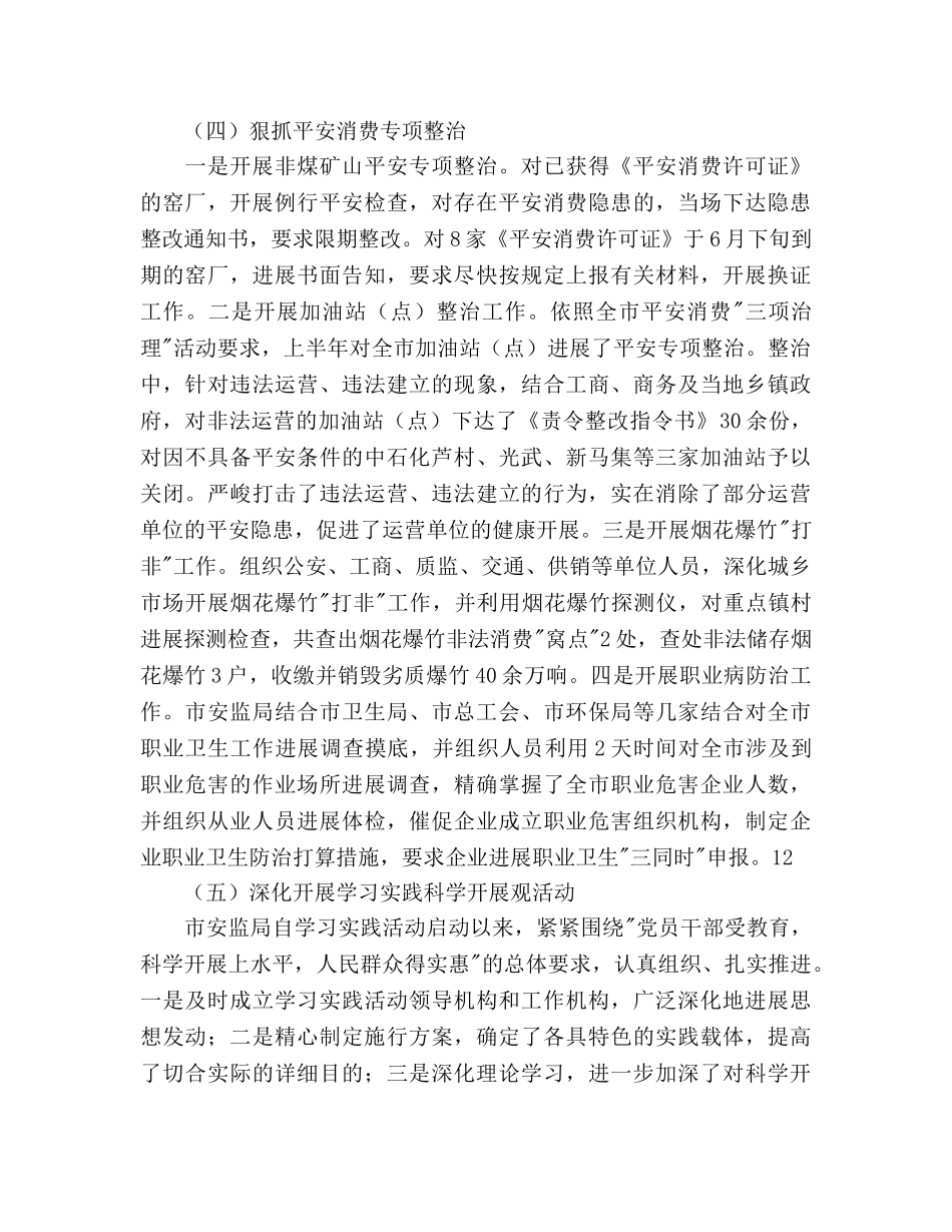 上半年综治（平安建设）总结和下半年工作参考计划范文 _第3页