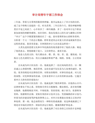 审计局青年干部工作体会 