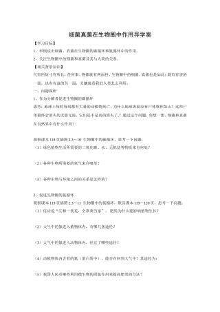 细菌真菌在生物圈中的作用