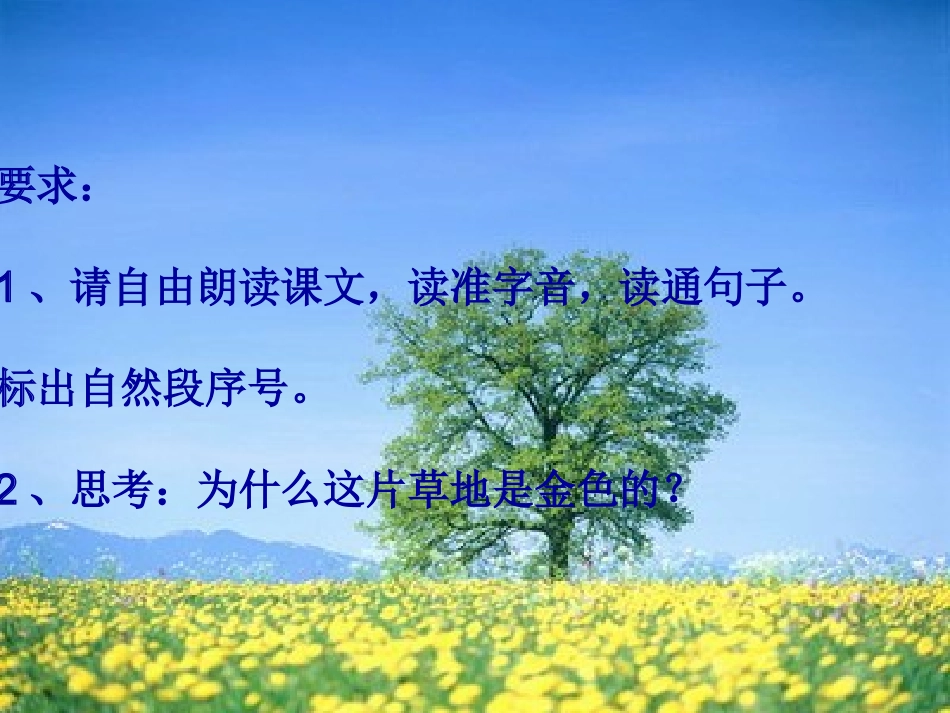 金色的草地 (4)_第2页