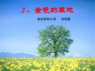 金色的草地 (4)