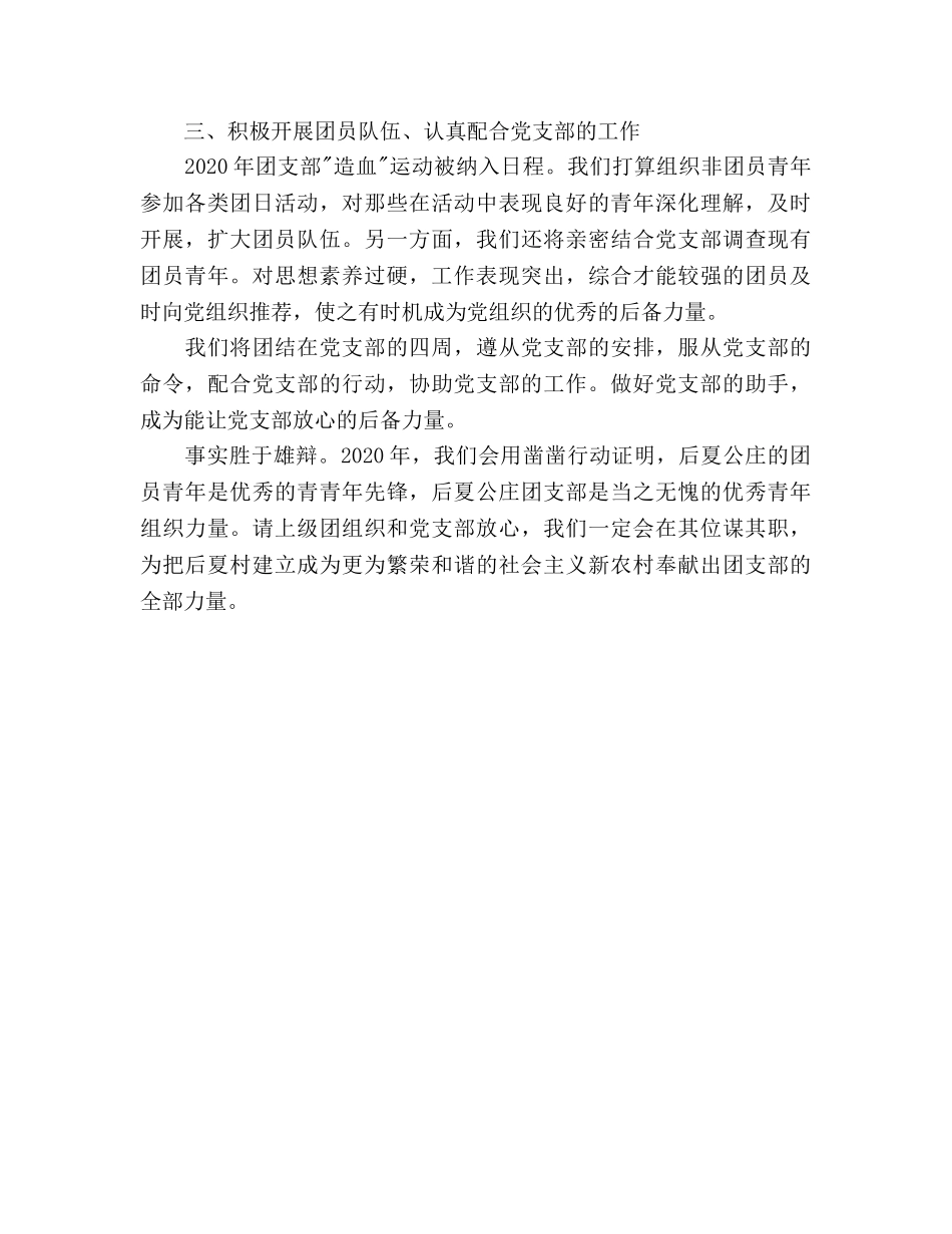 农村团支部工作参考计划 _第3页