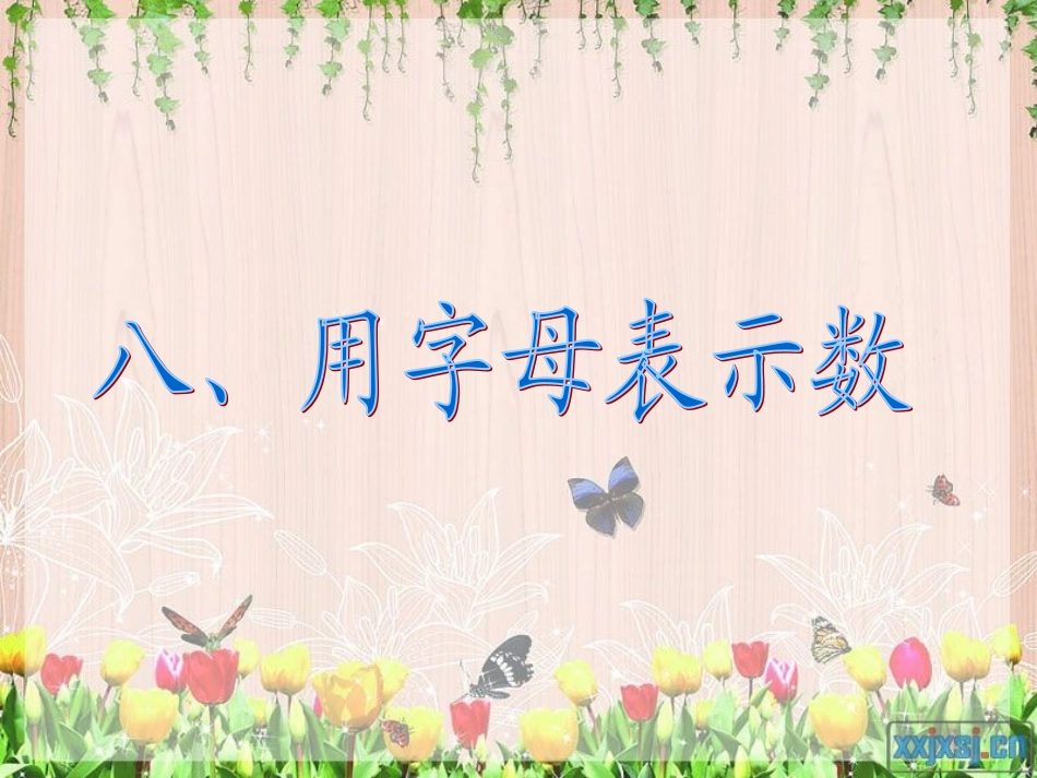 六年级下册第六单元用字母表示数课件_第2页