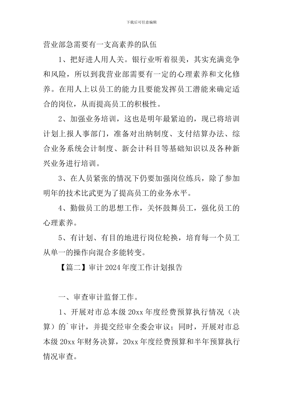 审计2024年度工作计划报告_第3页