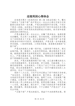 巡视利剑体会心得