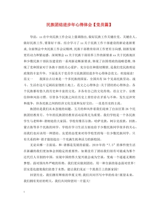 民族团结进步年心得体会【党员篇】 