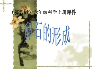 (鄂教版)六年级科学上册《卵石的形成》PPT