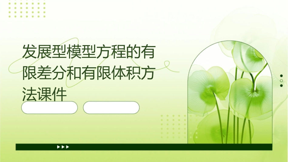 发展型模型方程的有限差分和有限体积方法课件_第1页