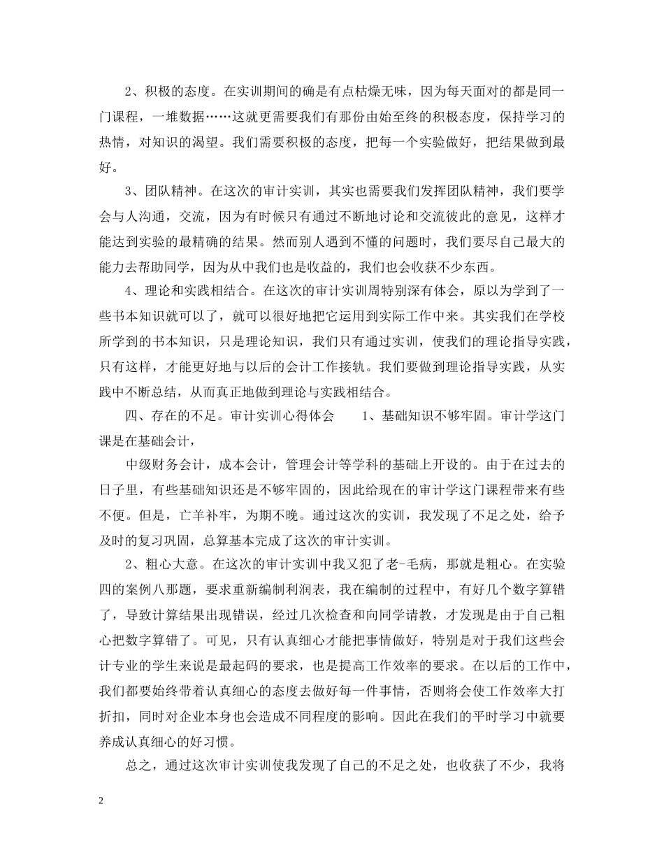 审计综合实训心得体会3篇 _第2页