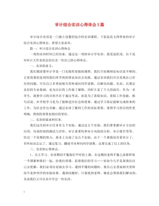 审计综合实训心得体会3篇 