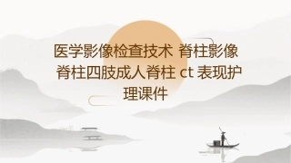 医学影像检查技术 脊柱影像脊柱四肢成人脊柱CT表现护理课件