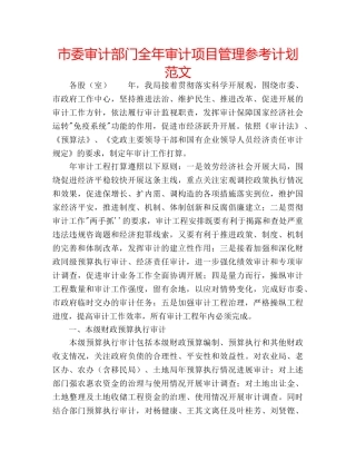 市委审计部门全年审计项目管理参考计划范文 