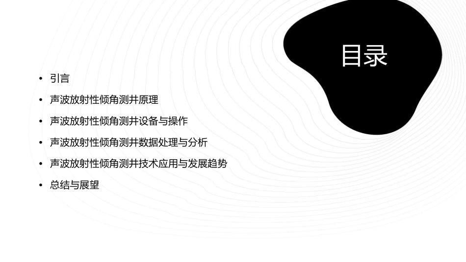 声波放射性倾角测井小结课件_第2页