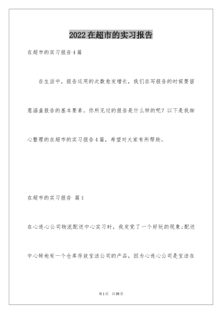 2024在超市的实习报告_30