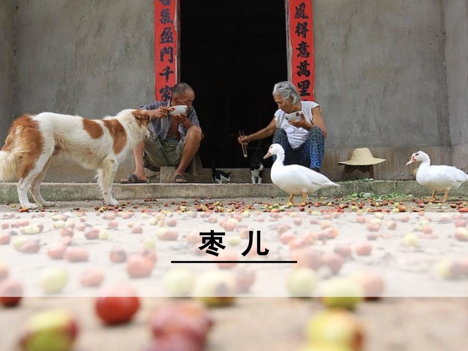 《枣儿》课件_第1页