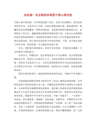如何做一名合格的共青团干部心得交流 