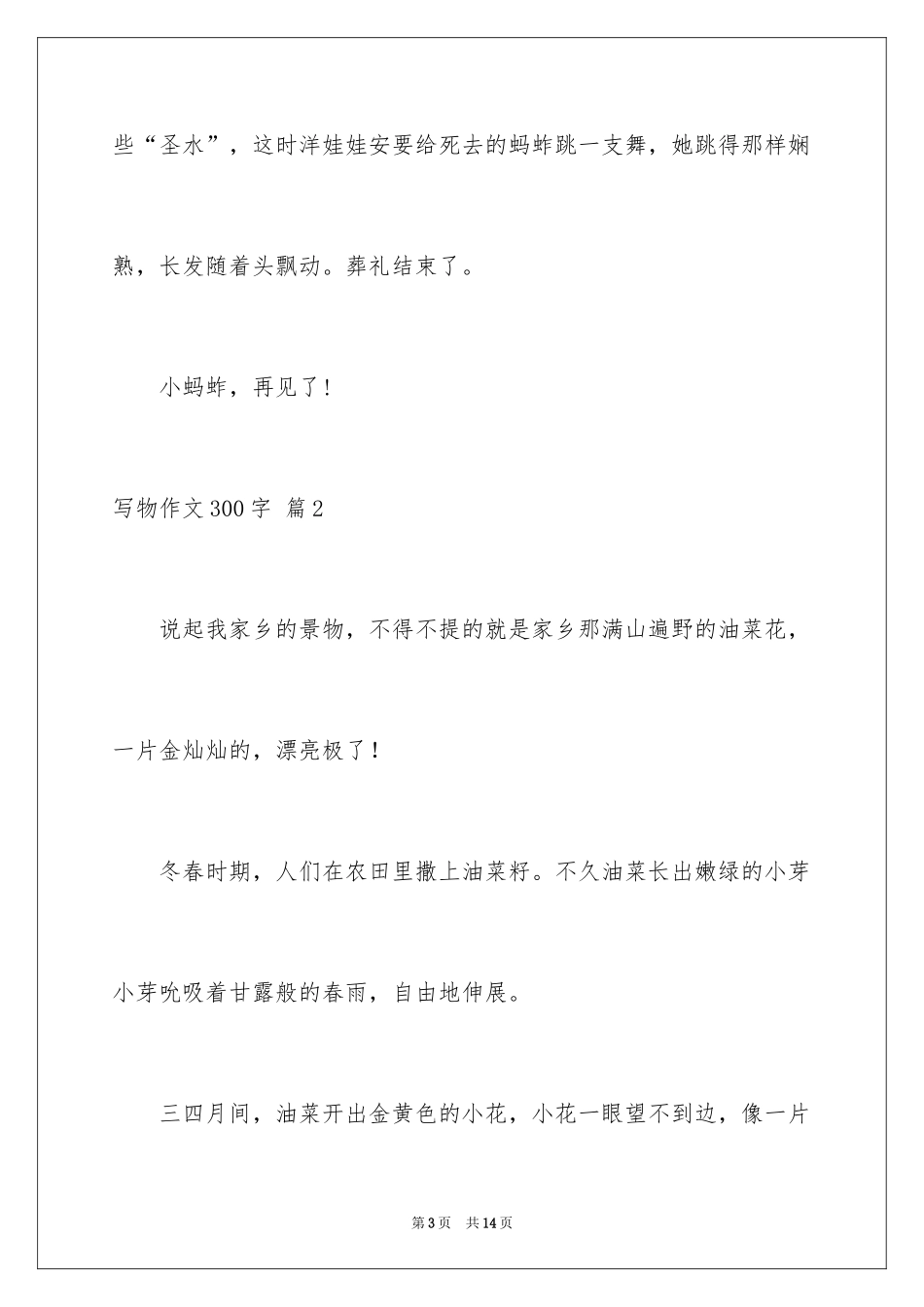 2024写物作文300字_224_第3页