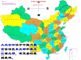 白桦林的低语 (3)