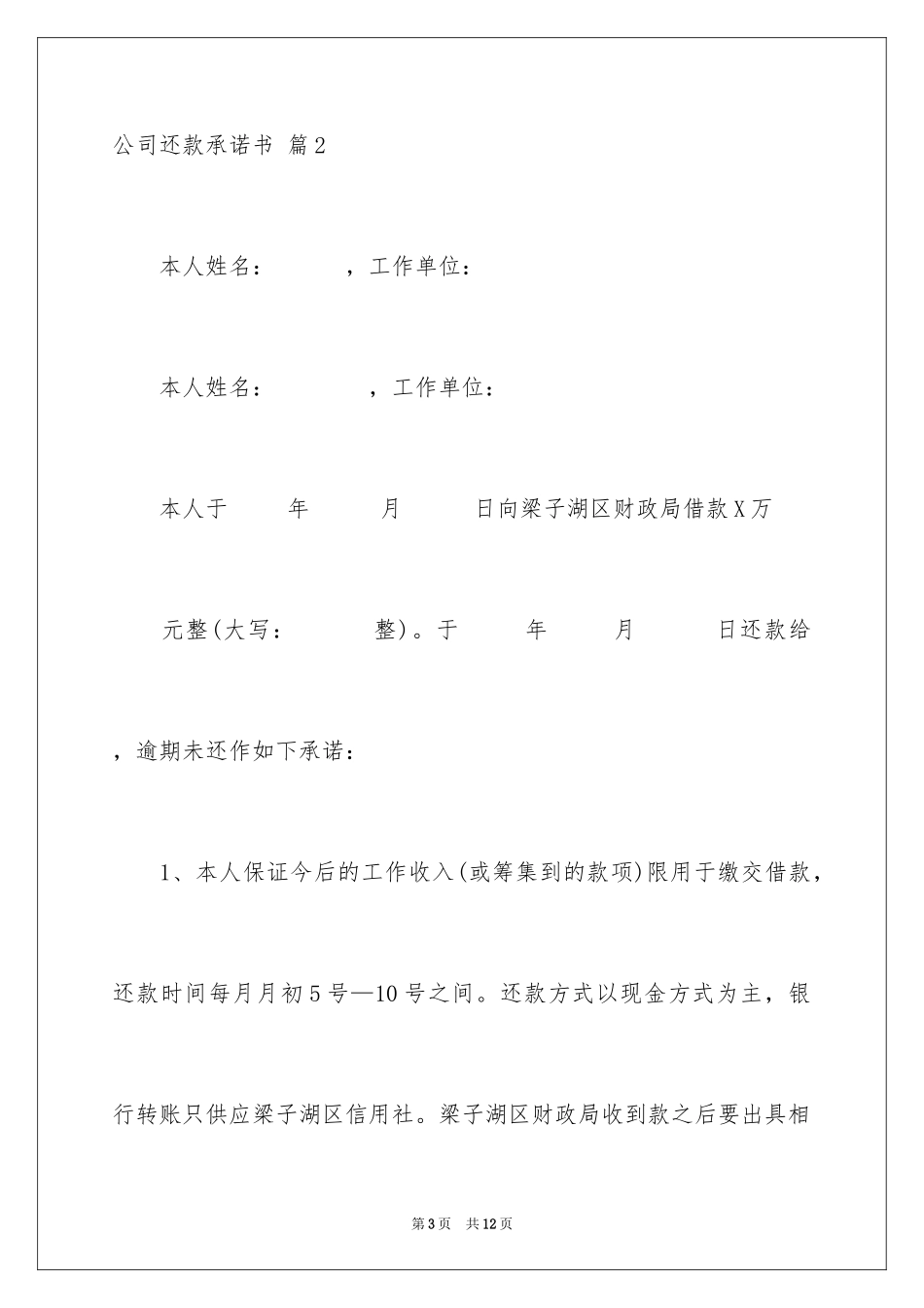 2024公司还款承诺书_32_第3页