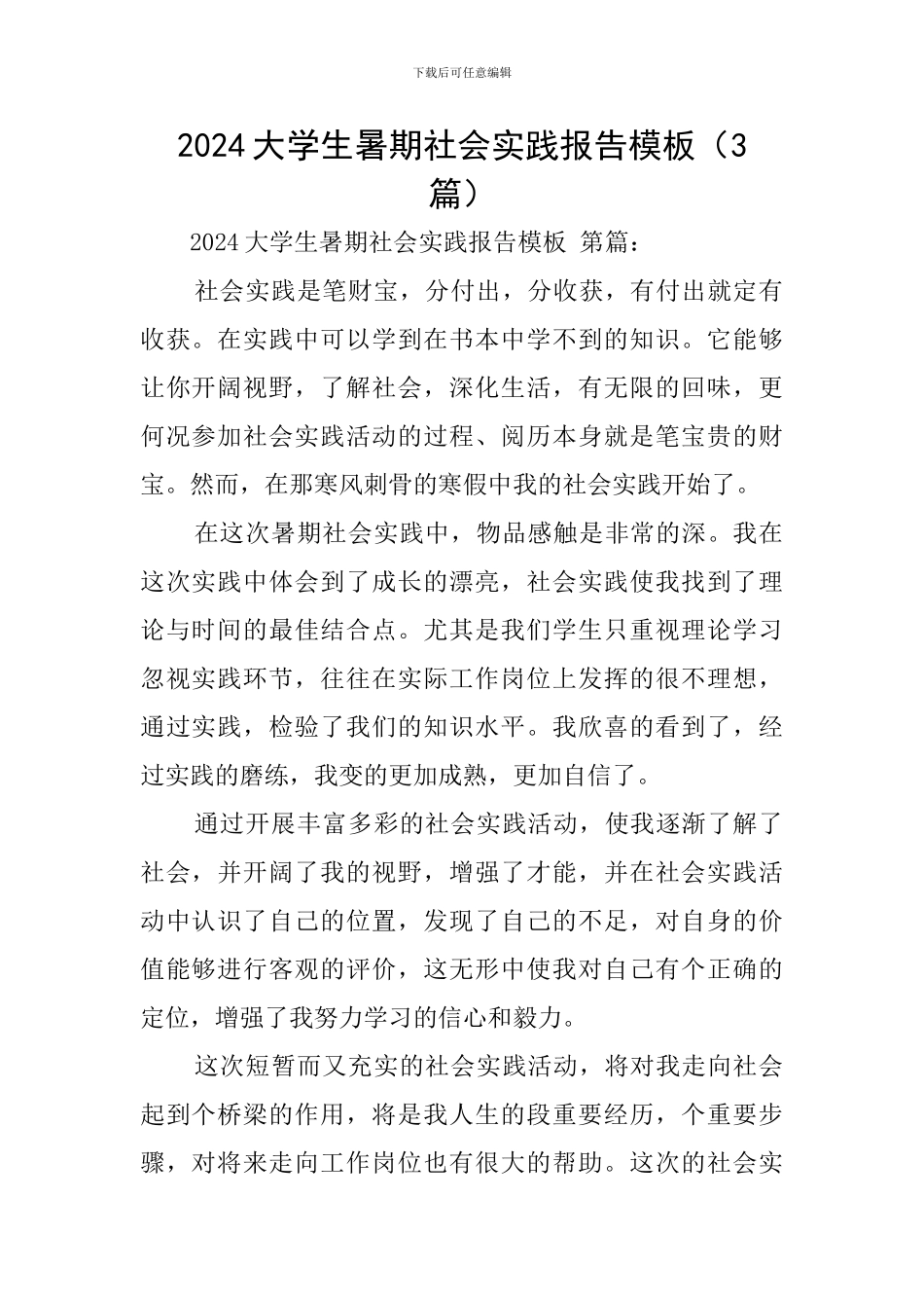 2024大学生暑期社会实践报告模板_第1页