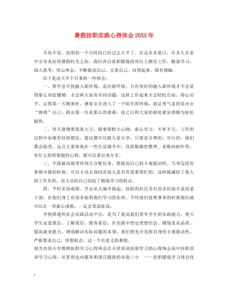 暑假挂职实践心得体会20XX年 