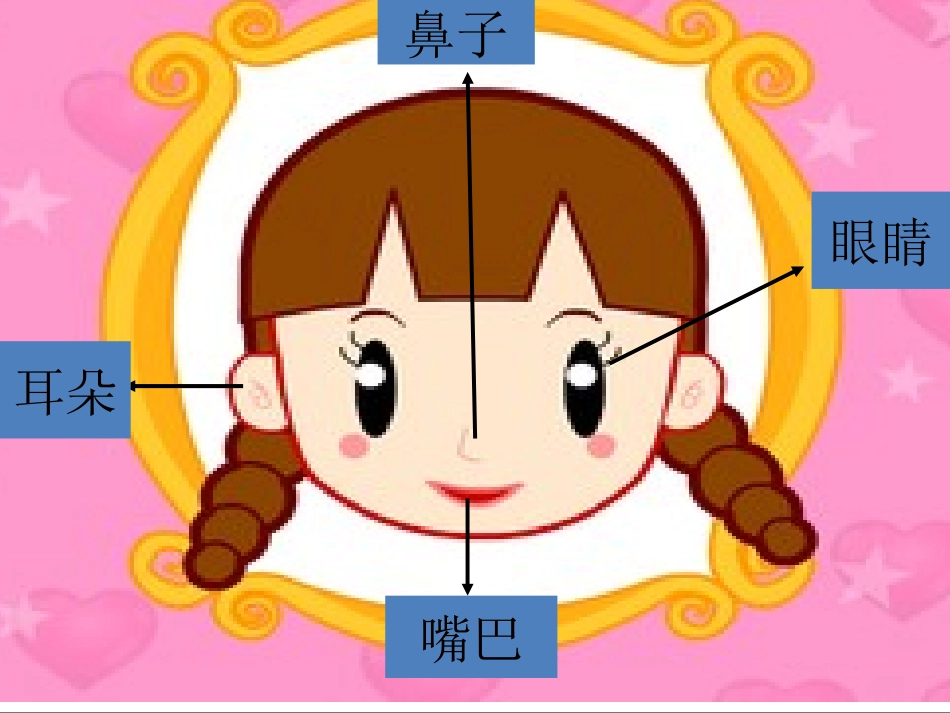 五官用处大》课件_第2页