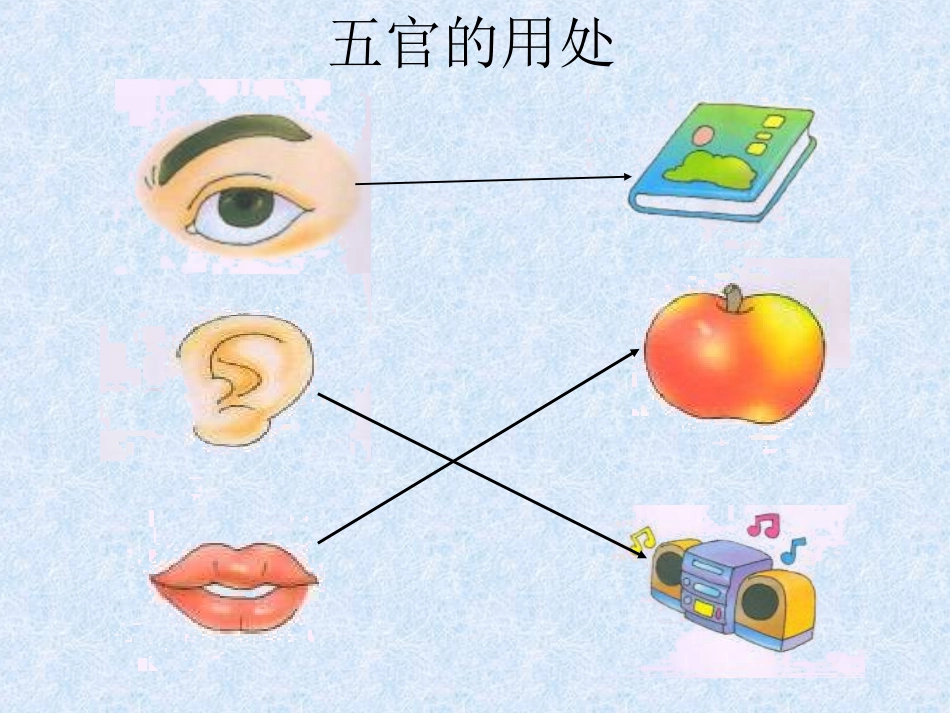 五官用处大》课件_第3页