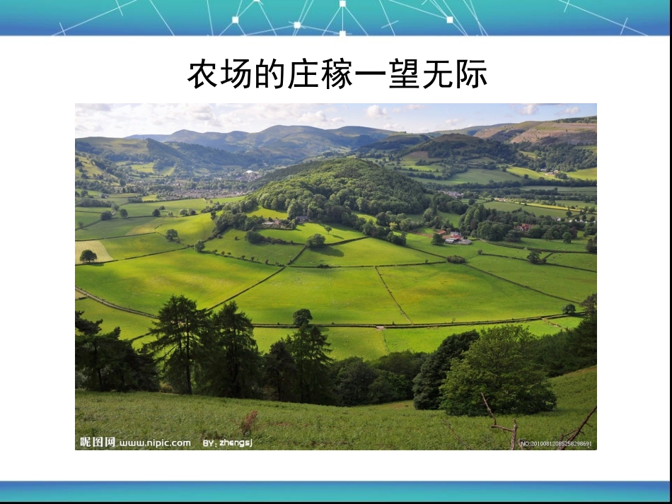 大班农场课件_第2页