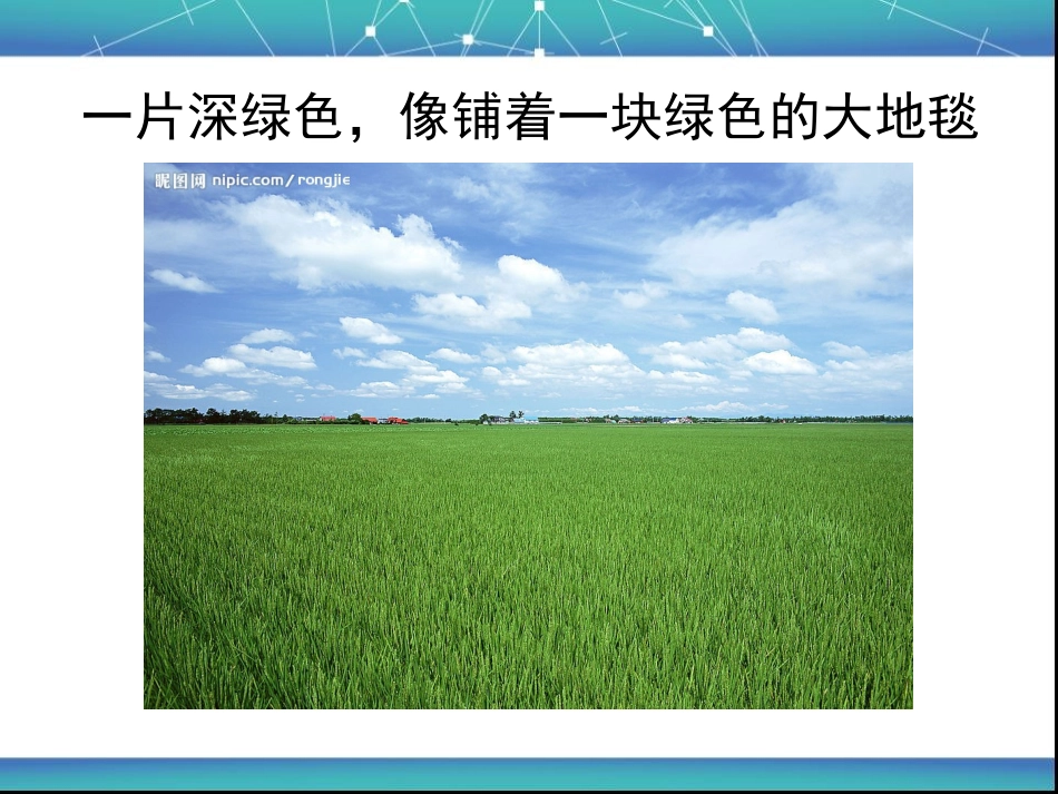 大班农场课件_第3页