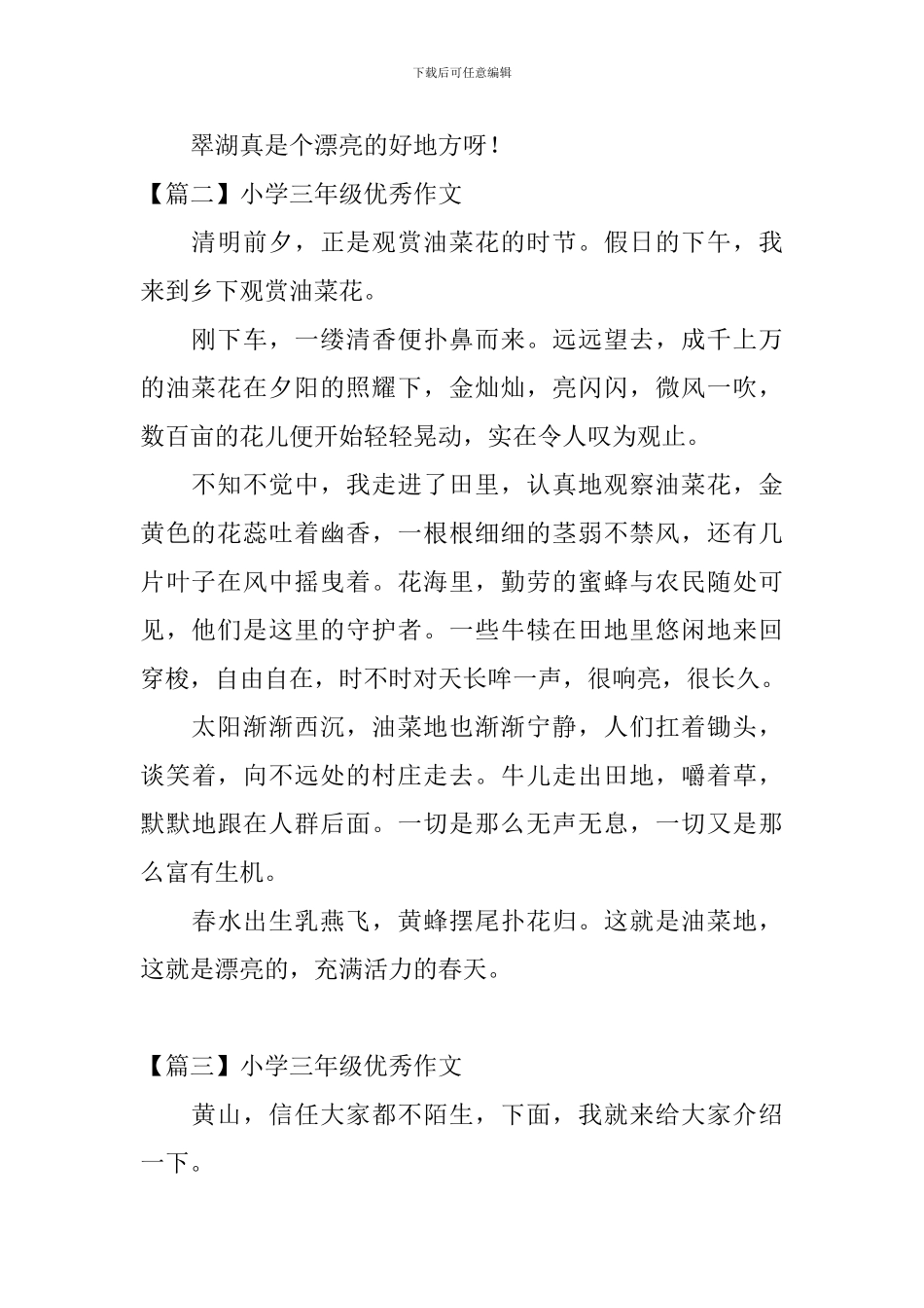 小学三年级优秀作文_第2页