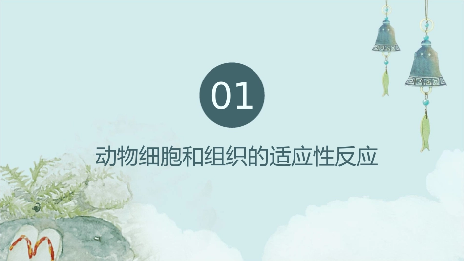 动物病理学 动物细胞和组织适应损伤与修复细胞组织适应性反应护理课件_第3页